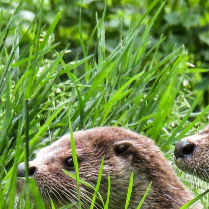 maintenance supervisor portrait